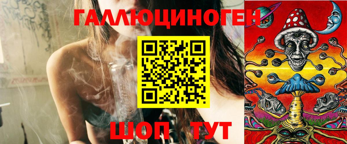 Галлюциногенные грибы Psilocybine cubensis Углич