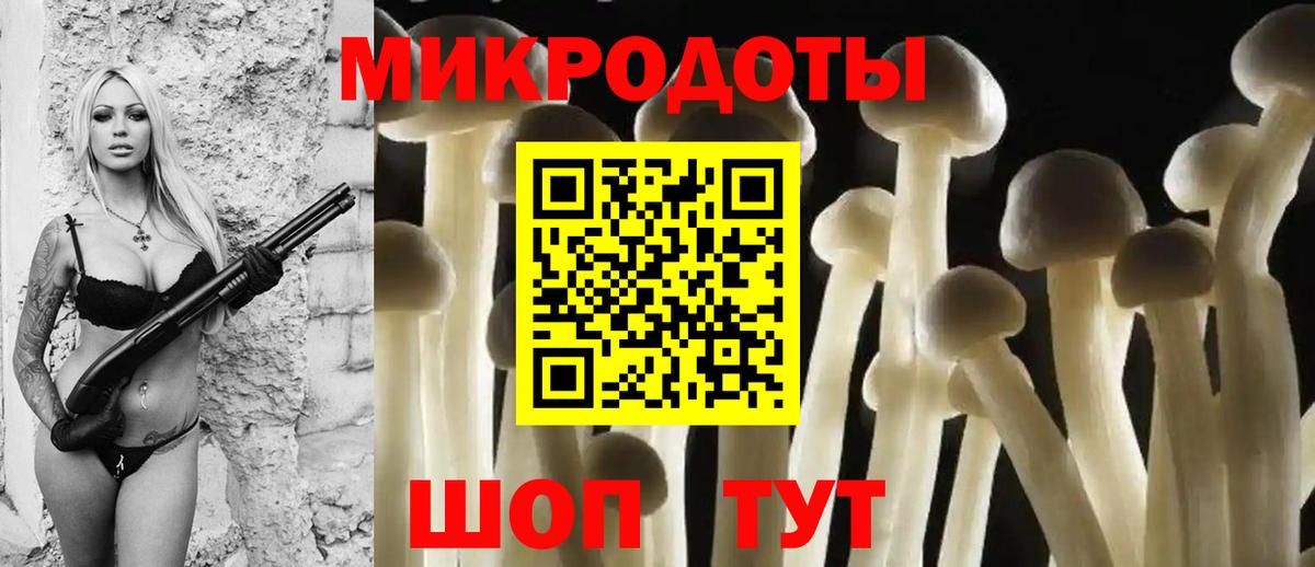 Углич  Псилоцибиновые грибы прущие грибы  Вход с VPN  Галлюциногенные грибы Psilocybe 